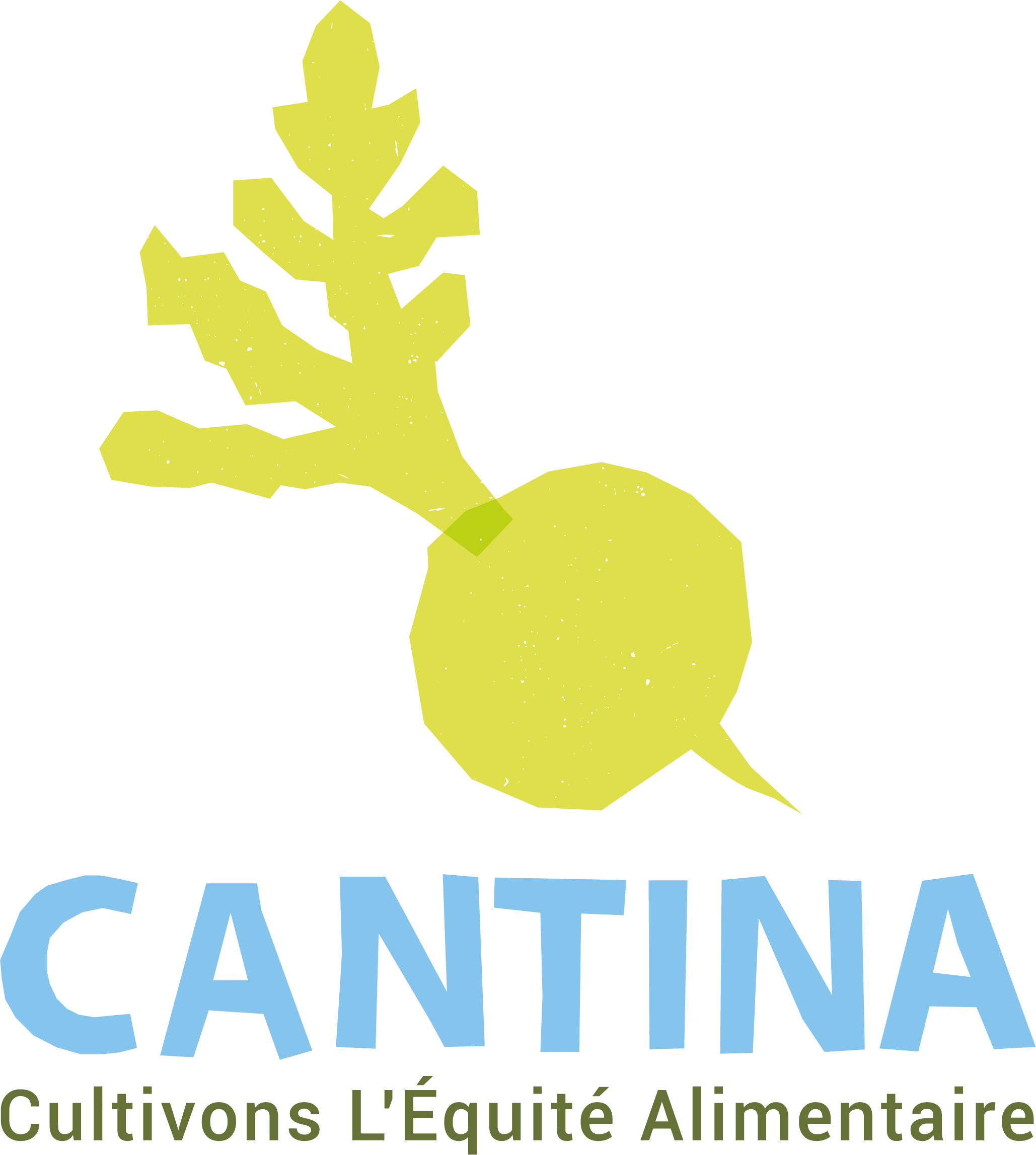 Cantina — Marseille